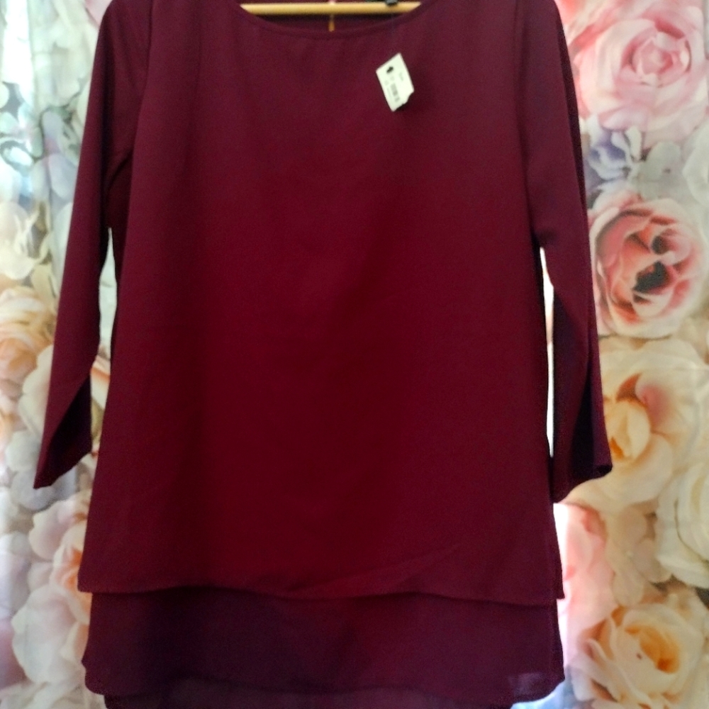 The Limited Blouse